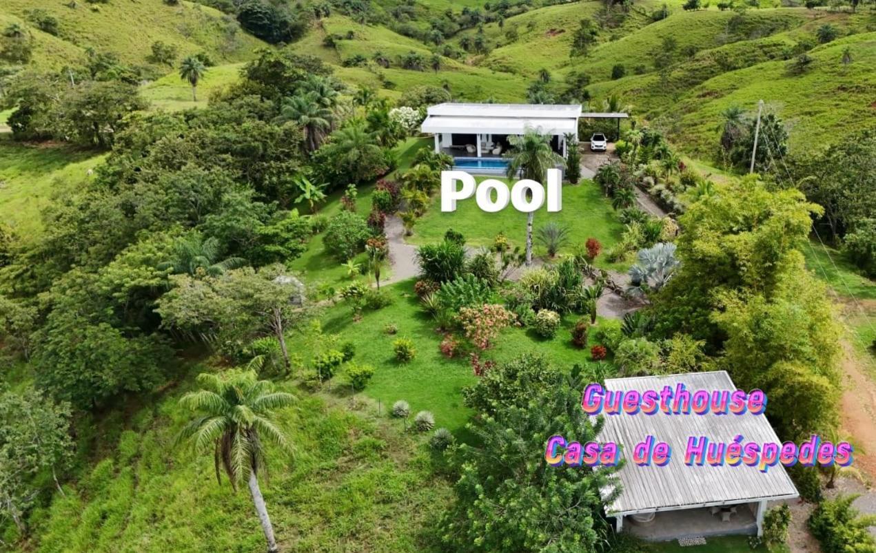 Finca Colibri بوكاتشيكا المظهر الخارجي الصورة