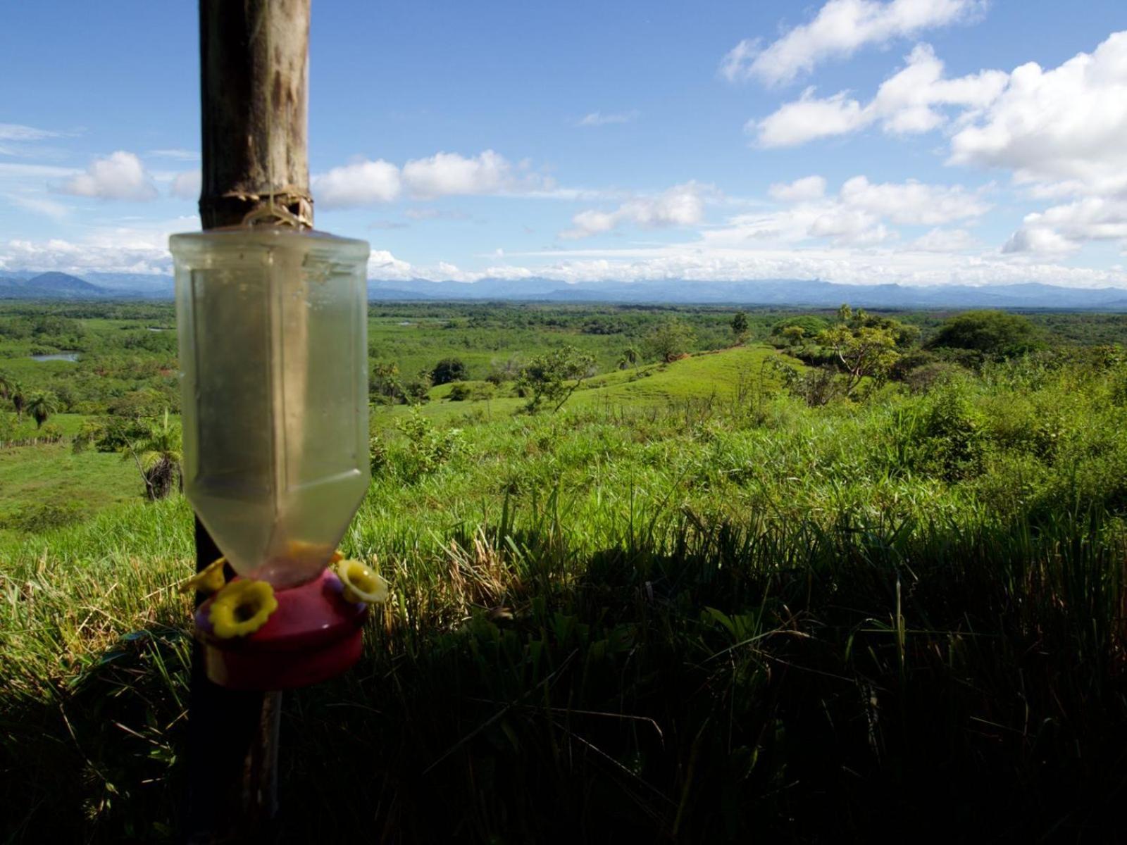 Finca Colibri بوكاتشيكا المظهر الخارجي الصورة